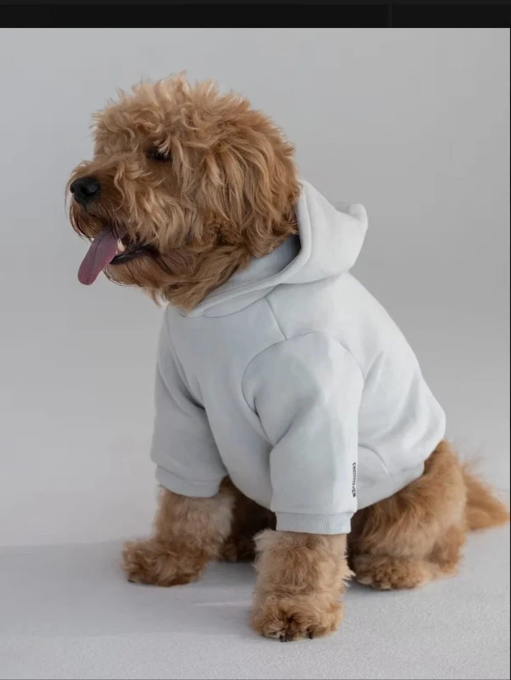 Comfrt Paw Hoodie Size Small